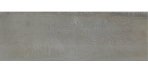 Керамическая плитка для стен Kerama Marazzi Раваль 30x89.5 серый (13060R)