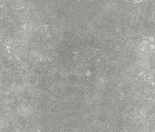 Плитка из керамогранита Vitra Ararat 45x45 серый (K82329600001VTE0)