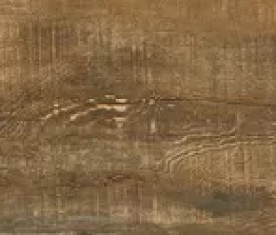 Плитка Идальго Граните Вуд Эго Коричневый 1200x295 SR (1,416 кв.м)