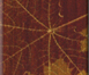 Clones brown (braz) Бордюр 6,5x25