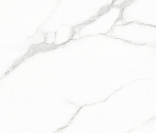 Плитка керамогранитная Creo Ceramique WHITE CARARRA 60х120 Glossy (GJT612670)
