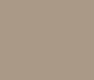 Плитка из керамогранита Estima Rainbow 60x60 коричневый (RW041/NS_R9/60x60x10R/UC)