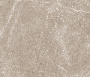 Frappuccino Taupe Polished 120x120