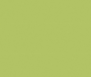 Плитка из керамогранита Estima Yourcolor 60x60 зеленый (YC93/NS_NC/60x60x10R/GW)