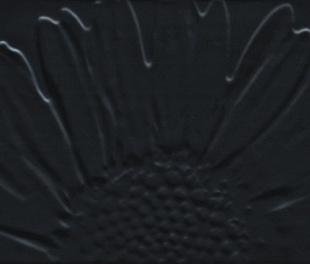 Colour Black Декор Sunflower 59,3х32,7