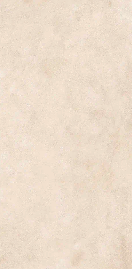 Керамогранит Natural Terre Decoro Felce Gesso 60х120 / коллекция NATURAL TERRE / производитель LA FENICE / страна Италия