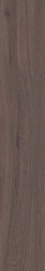 Керамогранит Керамогранит Buono Ceramic Forest Umber Matt / коллекция Forest Buonoceramica / производитель buonoceramica / страна Индия