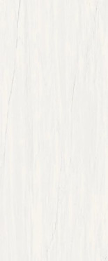 Керамическая плитка A4S4 Плитка MARVEL STONE BIANCO DOLOMITE 50х120 см ВЫВОД / коллекция MARVEL STONE / производитель Atlas Concorde Italy / страна 