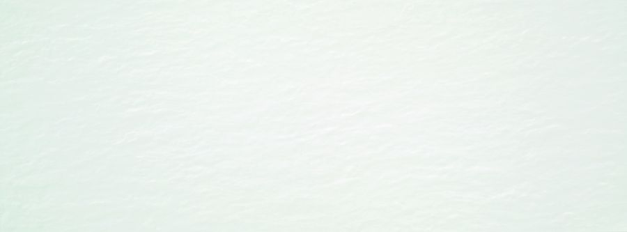 Керамическая плитка Керамическая плитка Japon Aral White Matt 33.3x90 / коллекция Japon / производитель STN CERAMICA / страна Испания