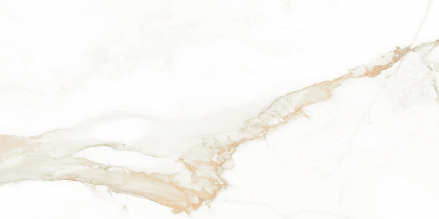 Керамогранит Керамогранит P.E. PUL. Camile gold rect. 60X120 / коллекция CAMILE STN CERAMICA / производитель STN CERAMICA / страна Испания