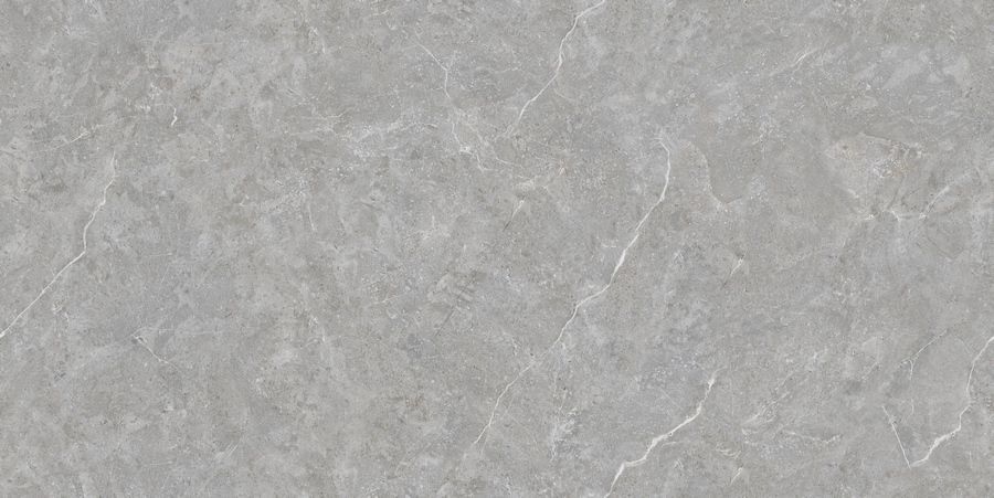 Керамическая плитка Керамогранит Techno Matt 80x160 Mica Grigio TM 80x160 / коллекция Techno Matt 80x160 / производитель Neodom / страна Индия