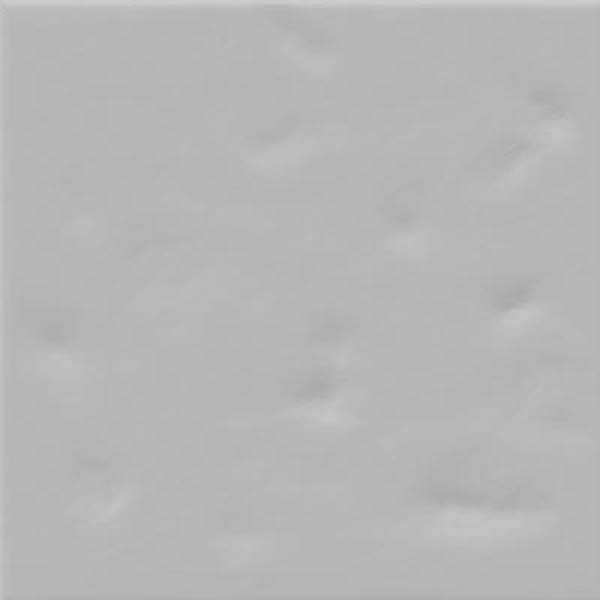 Керамическая плитка Паола Грис-В 20x20 (в кор. 25 шт. = 1м2) - Paola Gris-B / коллекция PAOLA Vives Ceramica / производитель Vives Ceramica / страна Испания