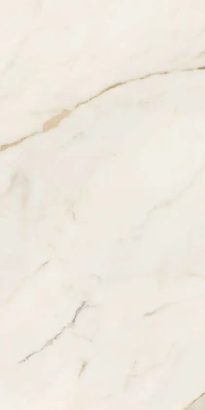 Керамическая плитка Плитка ANIMA FUTURA GOLDEN WHITE 60X120 LISCIO MATT / коллекция Anima Futura / производитель  / страна 