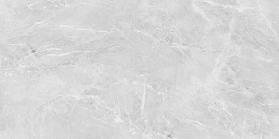 Керамическая плитка Керамогранит Belvedere 60x120 Eva Grey Polished 60x120 / коллекция Belvedere 60x120 / производитель Neodom / страна Индия