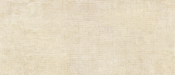 Керамогранит Плитка облиц. керамич. SIENNE,  9мм, 26x60.5 (105064) / коллекция Inside / производитель NAXOS / страна Италия