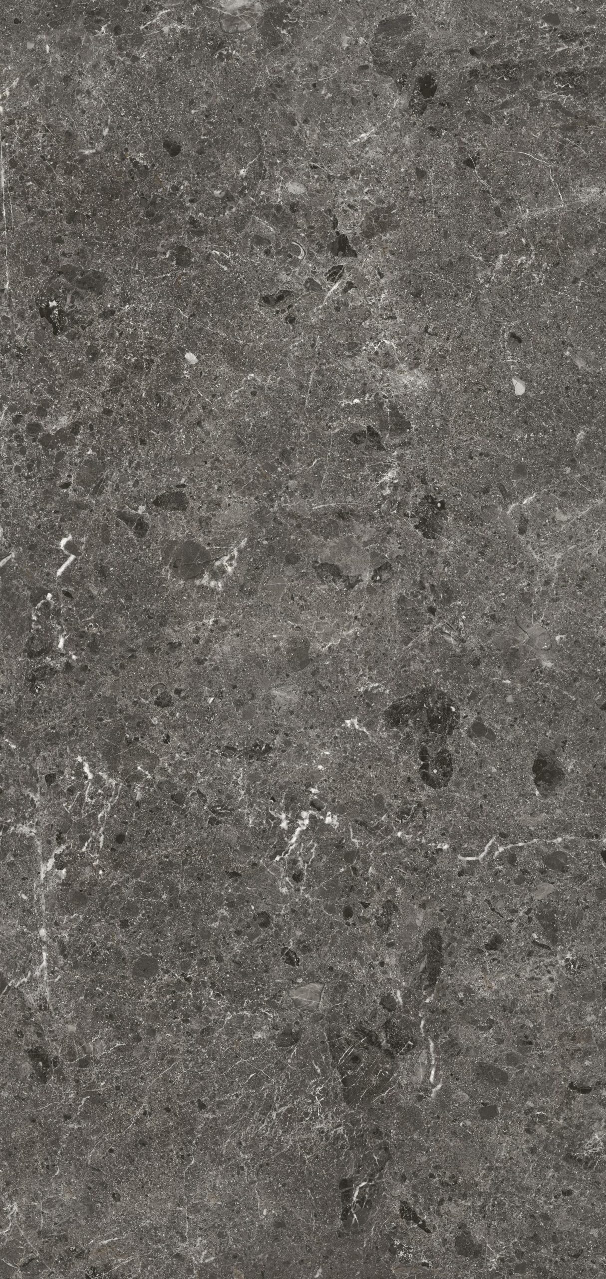 Керамическая плитка ARTIC ANTRACI. 120X260 5,6 PUL. / коллекция Artic - Cov / производитель Coverlam / страна 