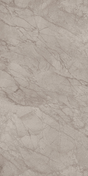 Керамогранит BLANCO6 12G RM 60x120 Серый / коллекция Blanco / производитель LA FAENZA / страна 