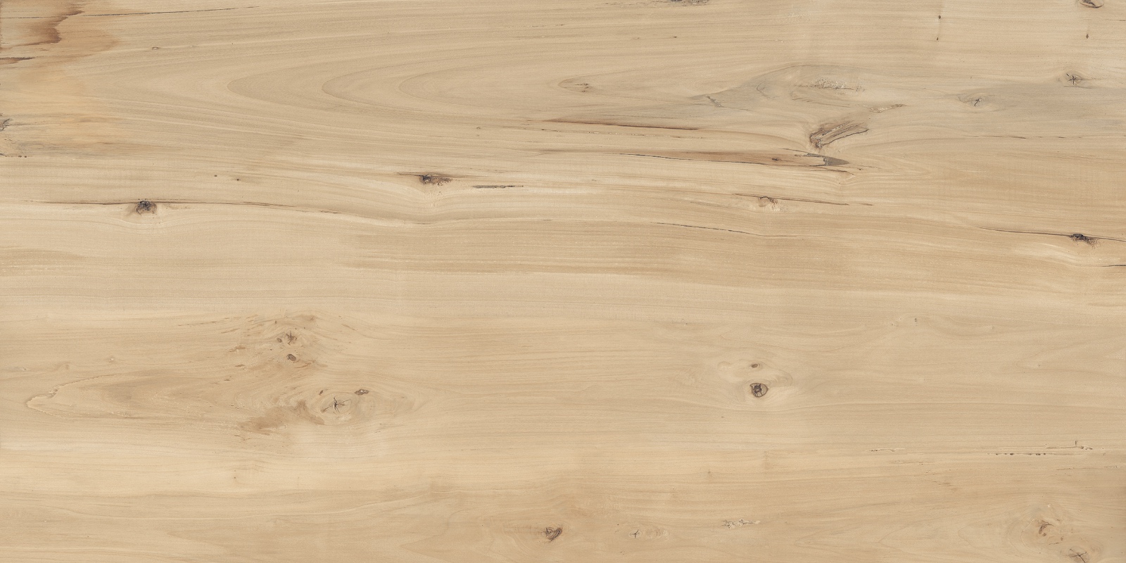 Керамогранит Керамогранит Sweet Home Matt / коллекция Forest Buonoceramica / производитель buonoceramica / страна Индия