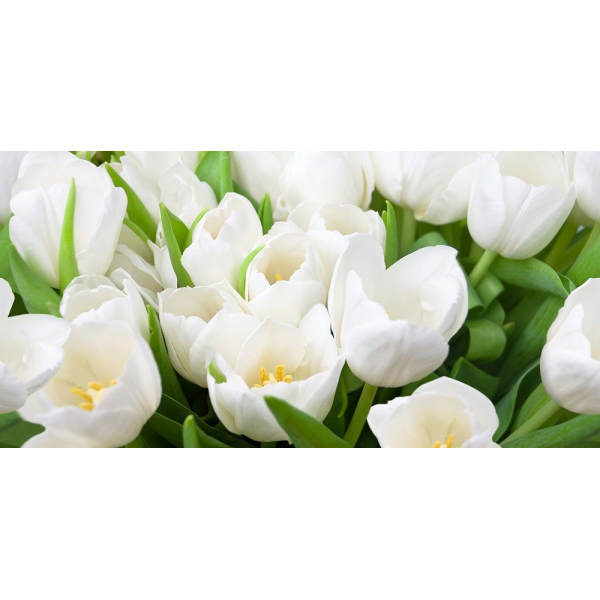 Керамогранит Декор ЭЛАРА ВЕРДЕ триумф 20,1х40,5 (13шт) / коллекция ЭЛАРА 20,1х40,5 / производитель AZORI / страна Россия