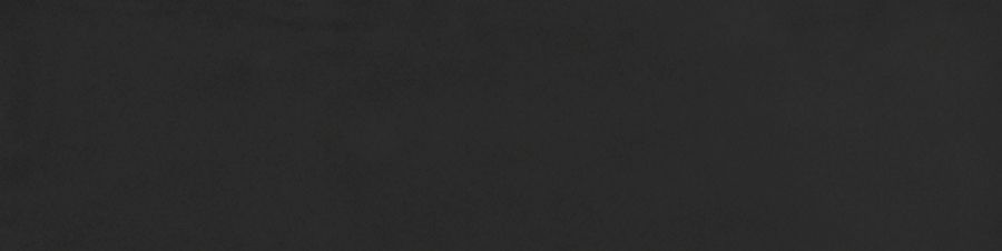 Керамическая плитка Керамическая плитка Mayolica Black 8x30 / коллекция Mayolica / производитель Living Ceramics / страна Испания
