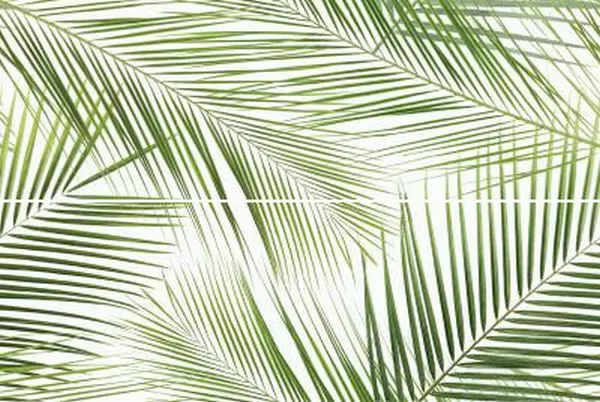 Керамическая плитка Панно Ceramika Konskie Brennero Tropic (2) 50x75 / коллекция Brennero CERAMIKA Konskie / производитель Ceramika Konskie / страна Польша