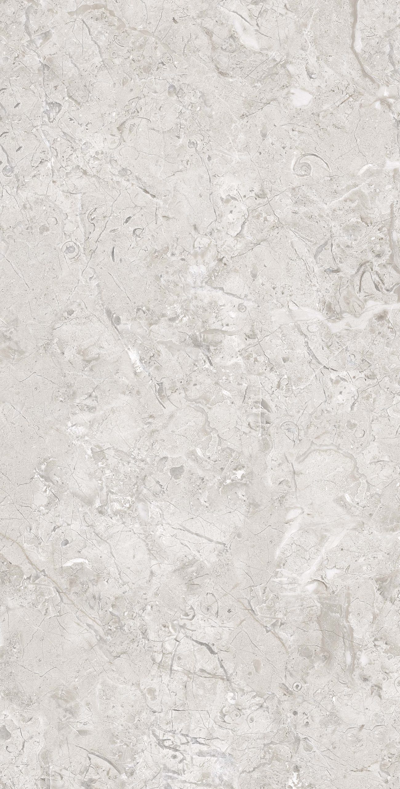 Керамогранит ELEGANCE GREY / коллекция Carving-Glossy SERATONIA / производитель SERATONIA / страна Индия