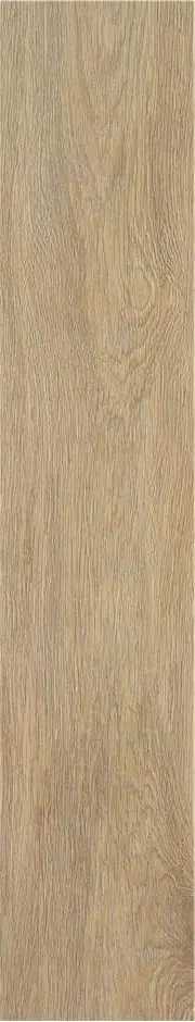 Керамическая плитка Плитка TACORA CAMEL MT 23X120 / коллекция Tacora / производитель  / страна Stn
