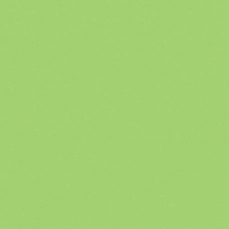 Керамогранит 2I0O КерГранит GREENCOLORS LIME 20x20 см / коллекция GREENCOLORS / производитель Atlas Concorde Italy / страна 