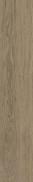 Керамогранит Kinwood Cedar Rect 22x120 / коллекция RAW / производитель APE Ceramica / страна Испания