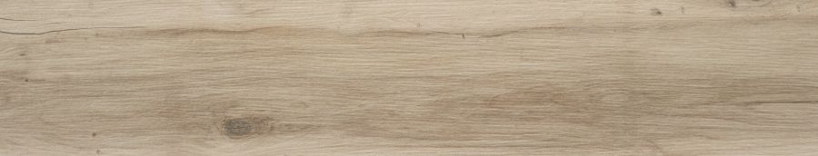 Керамическая плитка Керамогранит Blaze Natural Matt Rect 23x120 / коллекция BLAZE / производитель STN CERAMICA / страна Испания