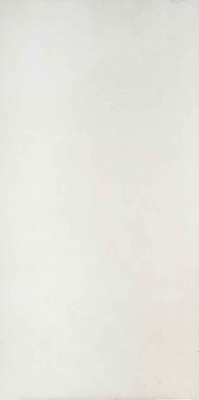 Керамогранит 59,8*119,8 61w1251a Bone Sardeni A-Ceramica / коллекция Sardeni / производитель Fakhar / страна Иран