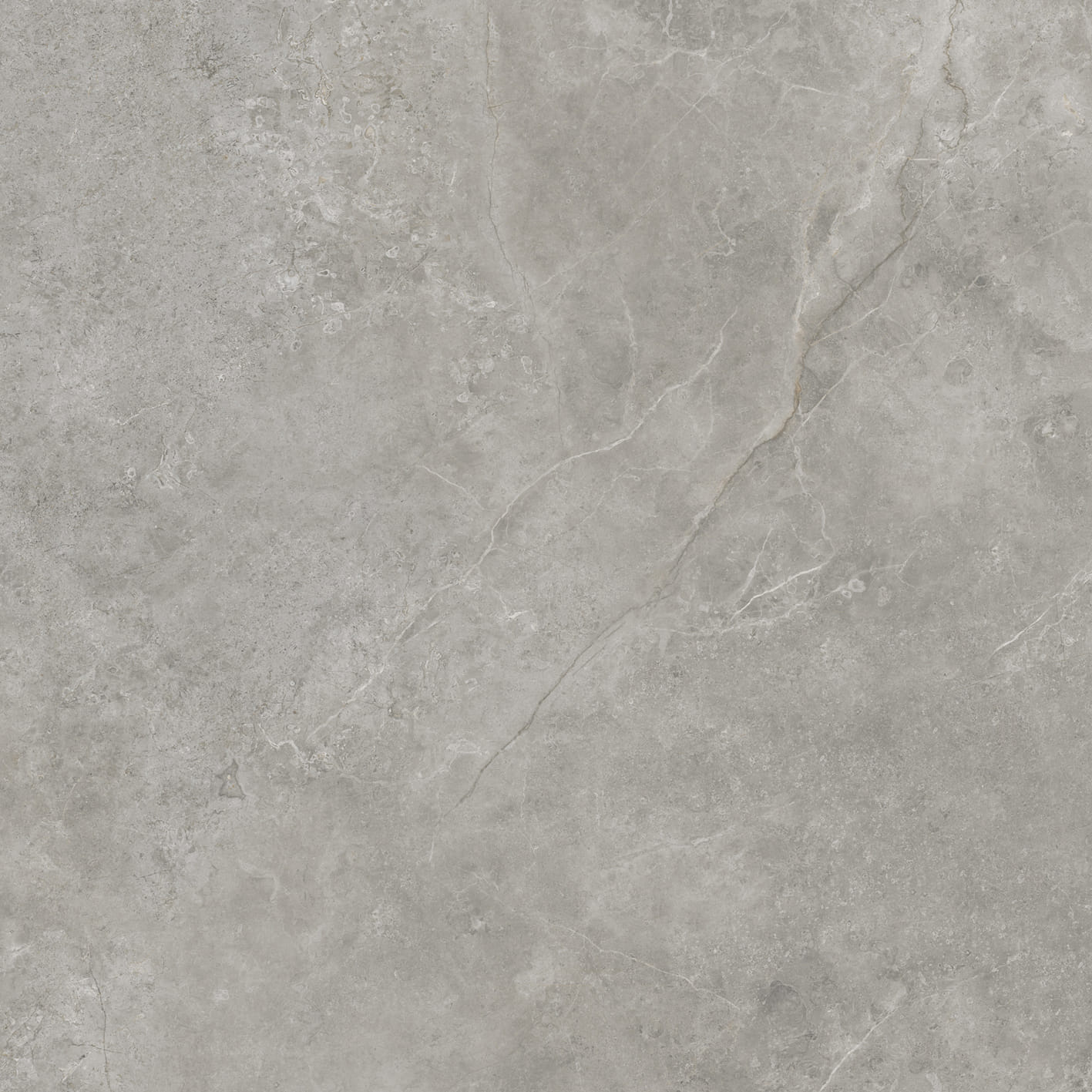 Керамическая плитка FIORI DI BOSCO SILK PV6 120X120(A) / коллекция Fiori di Bosco / производитель globusceramica / страна 