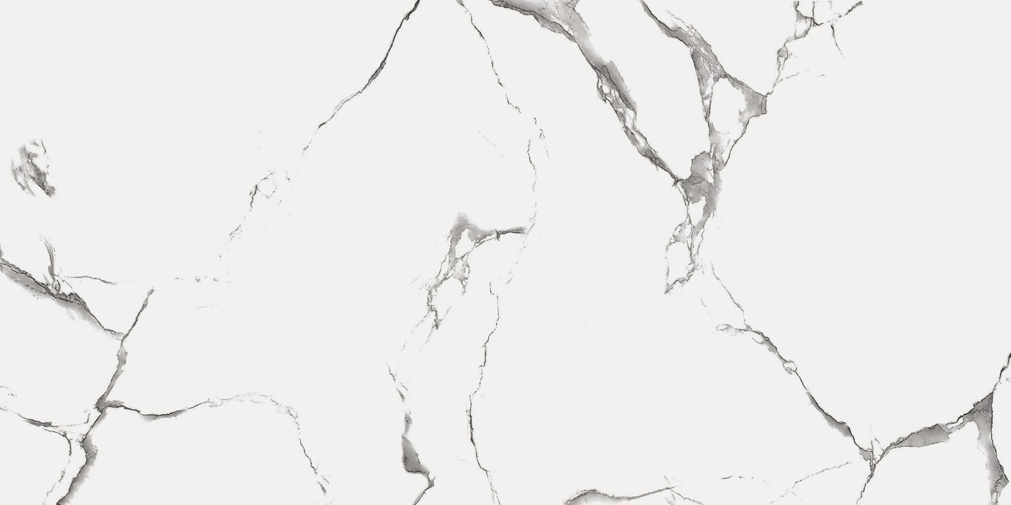 Керамогранит R_NR2003 Керамогранит Evon Statuario 60*120см Matt 1,44м2 / коллекция Evon Statuario Royce / производитель Royce / страна Индия