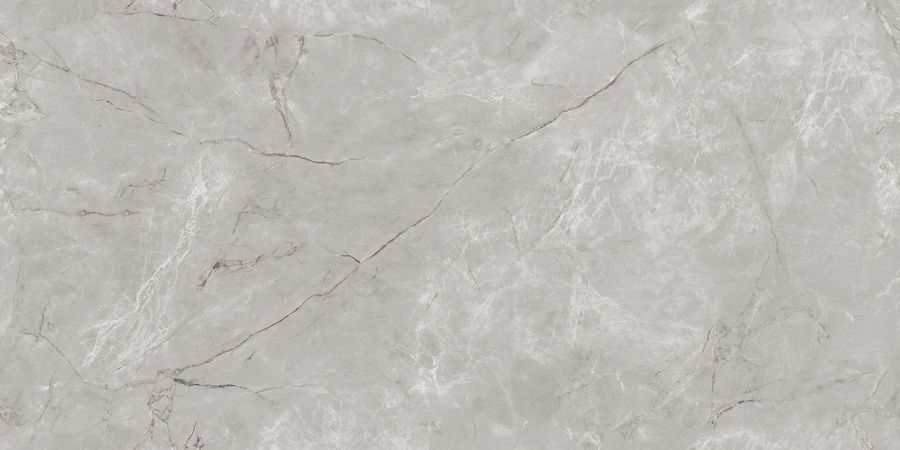 Керамическая плитка Керамогранит Techno Matt 80x160 Siena Grey TM 80x160 / коллекция Techno Matt 80x160 / производитель Neodom / страна Индия