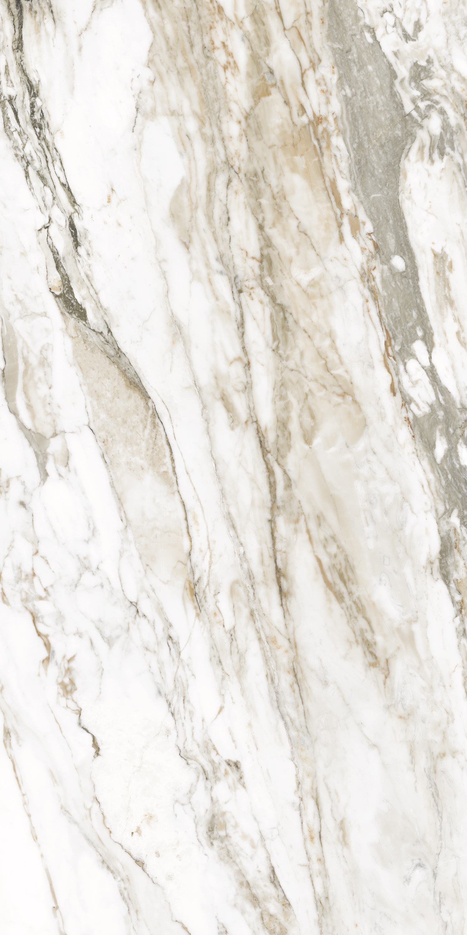 Керамогранит Calacatta Citrus 600х1200мм Glossy, керамогранит ENNFACE / коллекция Glossy / производитель Ennface / страна Индия