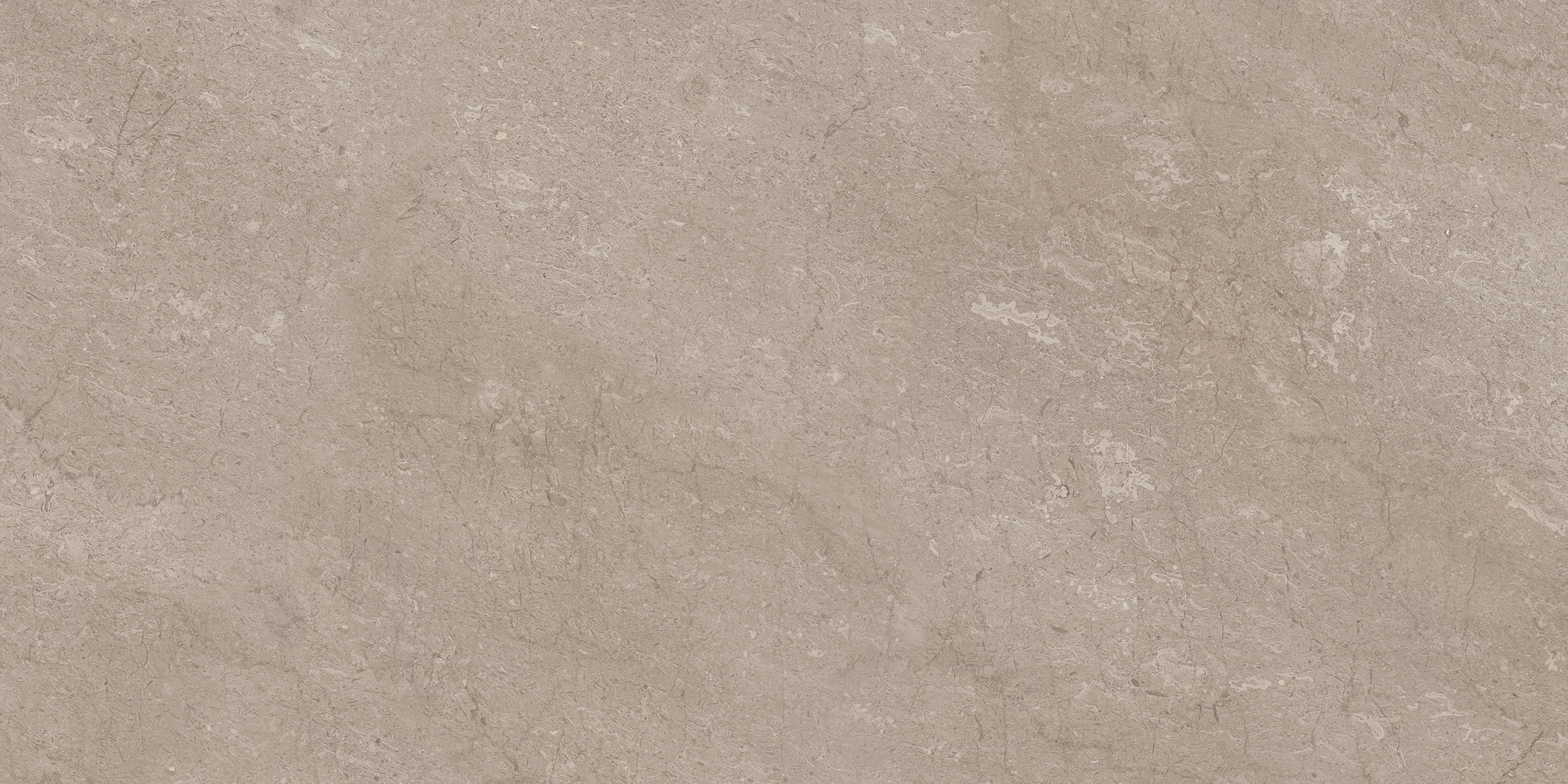 Керамическая плитка AEM02 80x160x10 Непол.Рект. (Керамический гранит) / коллекция `Элемента / производитель XXL / страна 