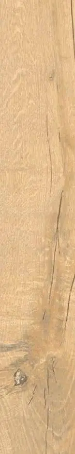 Керамическая плитка Плитка LE DOGHE OLMO 20X120 / коллекция Le doghe / производитель  / страна La fenice