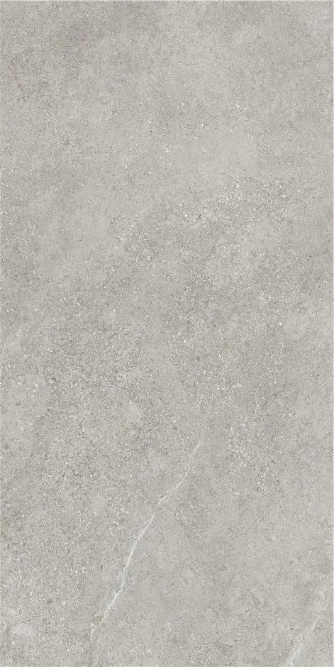 Керамическая плитка Плитка ARENITE GREY MT 60X120 / коллекция Arenite / производитель  / страна Stn