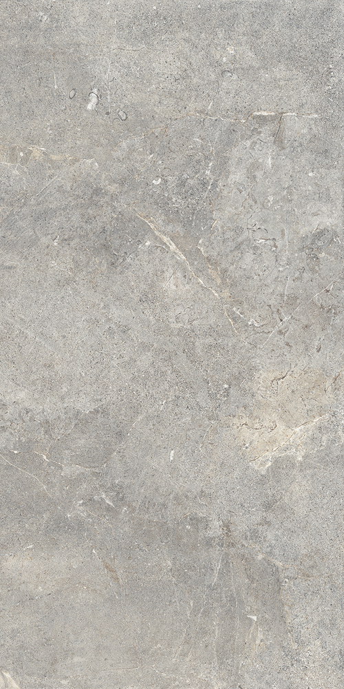 Керамогранит Керамическая плитка EVERGREIGE RET(T) 60X120 / коллекция EVERSTONE CERCOM / производитель CERCOM CERAMICHE / страна Италия