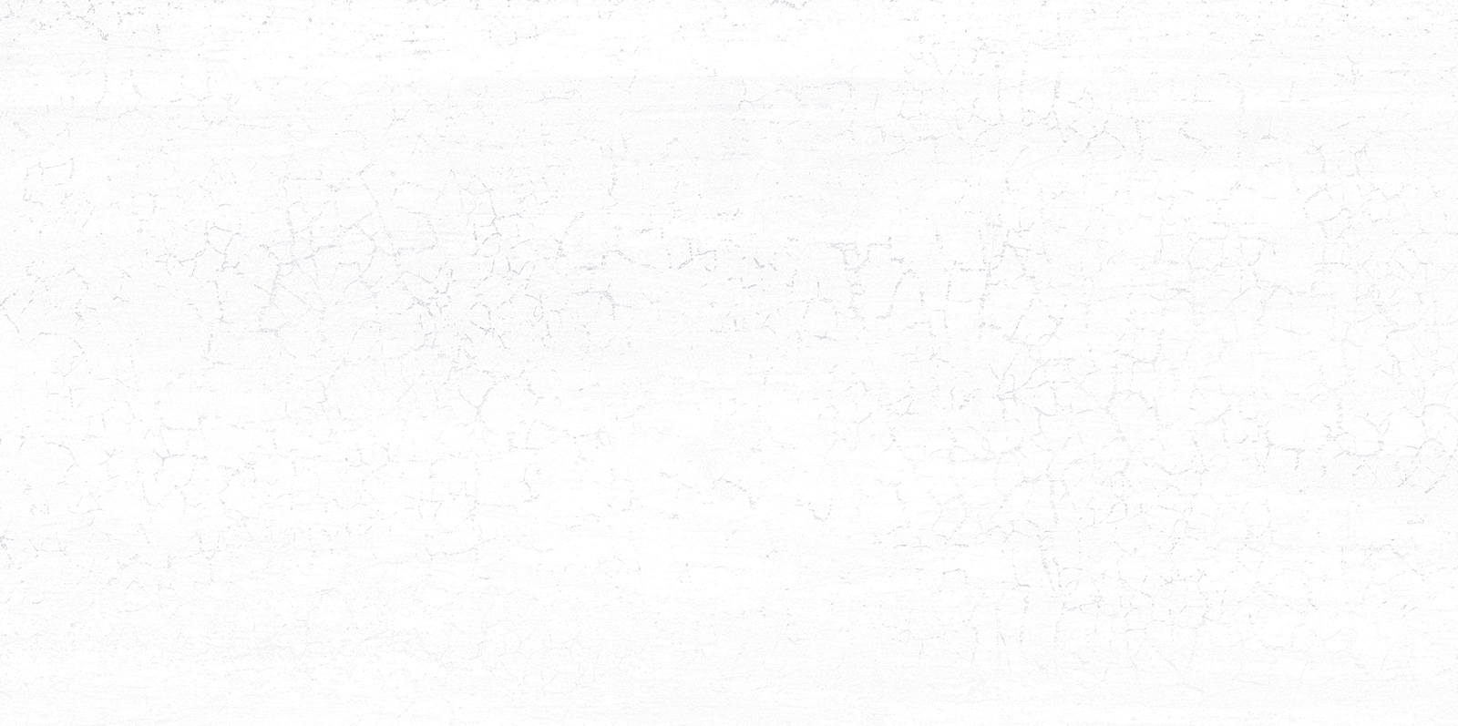 Керамическая плитка Dax White WT9DAX00 Плитка настенная 249*500*7,5 (12 шт в уп/80.676 м в пал) / коллекция Dax New Trend / производитель New Trend / страна Россия