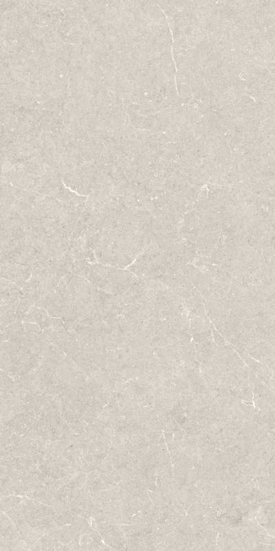 Керамическая плитка BERGSTEIN IVORY MATT 60X120 Artech / коллекция Bergstein / производитель  / страна Argenta