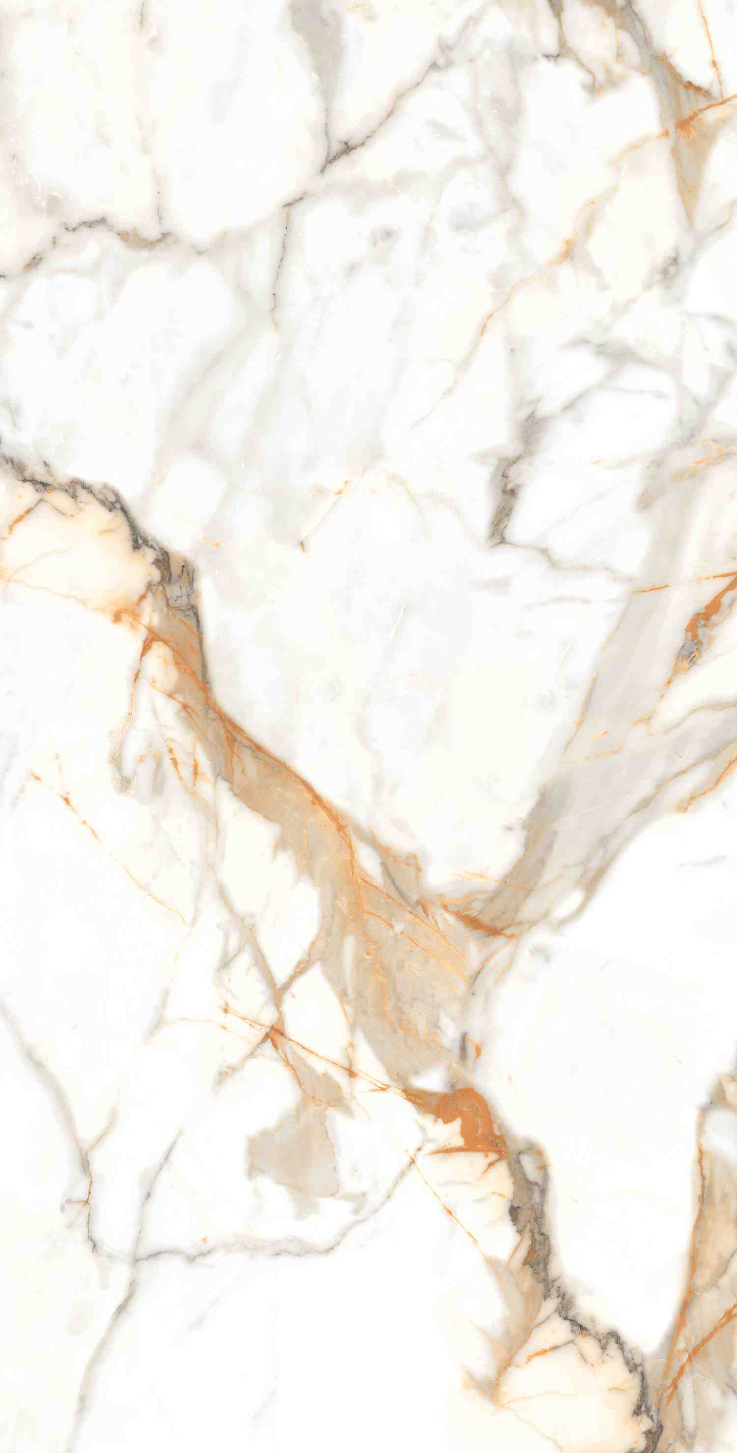 Керамогранит Calacatta Oro 600х1200мм Matt, керамогранит ENNFACE / коллекция Matt / производитель Ennface / страна Индия