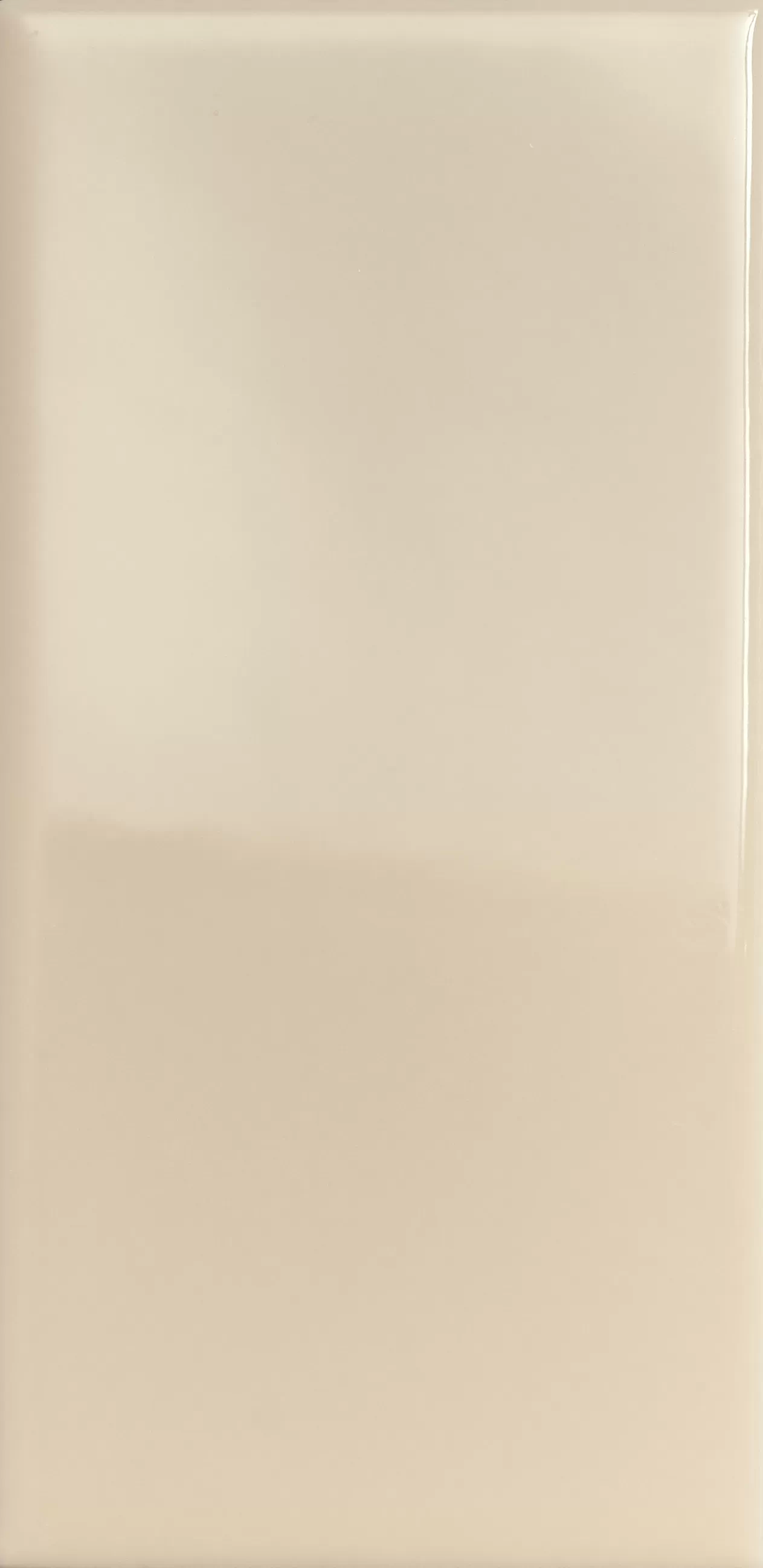 Керамическая плитка 4101105 Плитка MOU BUTTER GLOSSY 6,2x12,5 см / коллекция MOU 41ZERO42 / производитель 41ZERO42 / страна 