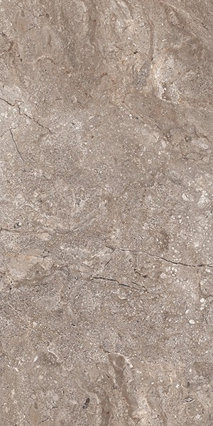 Керамогранит 6405 Stone Grey Polished 60x120 (46,08) / коллекция LEOPARD LEOPARD / производитель LEOPARD / страна Индия