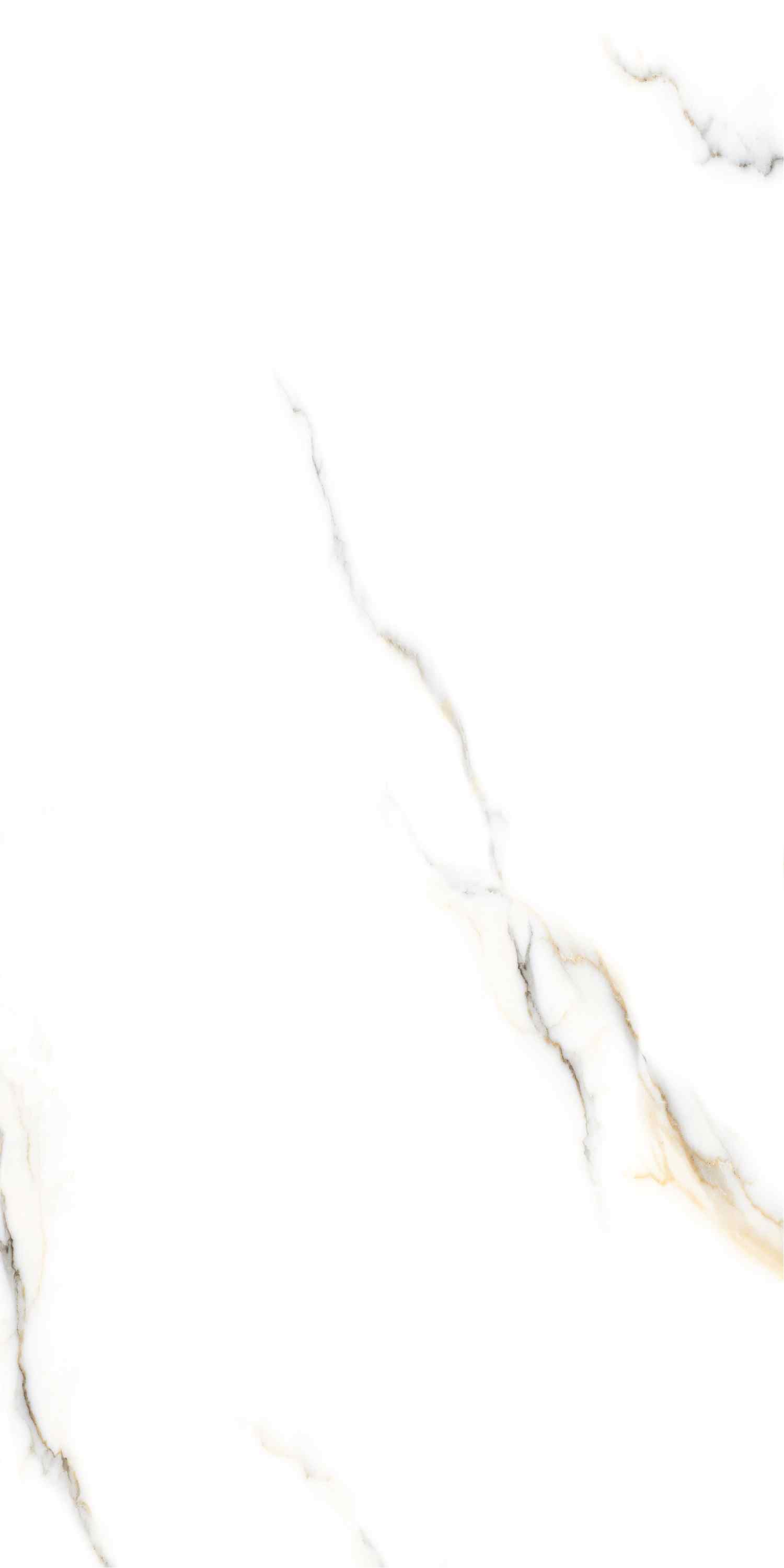 Керамогранит Керамогранит ZOOM SATUARIO (GLOSSY)  60х120 (1,44м2/48,96м2/34уп) / коллекция ZOOM SATUARIO BELLEZA / производитель BELLEZA / страна Индия