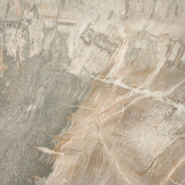 Керамогранит Керамическая плитка FOSSIL BEIGE NAT 50x50 / коллекция FOSSIL ABK / производитель ABK / страна Италия