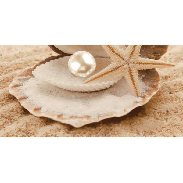 Керамогранит Декоративный массив Аликанте бежевый (низ жемчужина) (07-00-5-10-00-11-122) 25х50 (13 шт) / коллекция Аликанте 20х50 / производитель Нефрит-Керамика / страна Россия