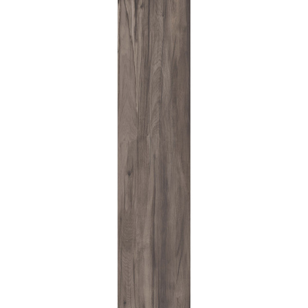 Керамогранит Плитка напольная DOLPHIN COAL RETT. 	40X170 / коллекция DOLPHIN ABK / производитель ABK / страна Италия