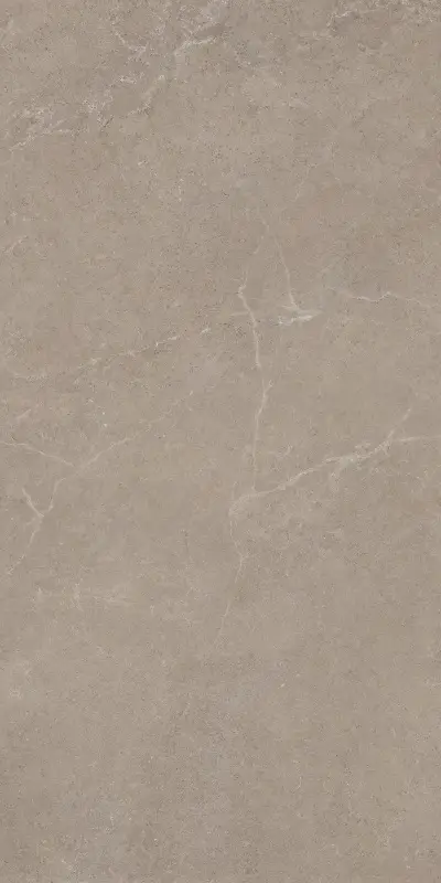 Керамическая плитка Плитка STORM EARTH 60X120 CB / коллекция Storm / производитель  / страна Argenta