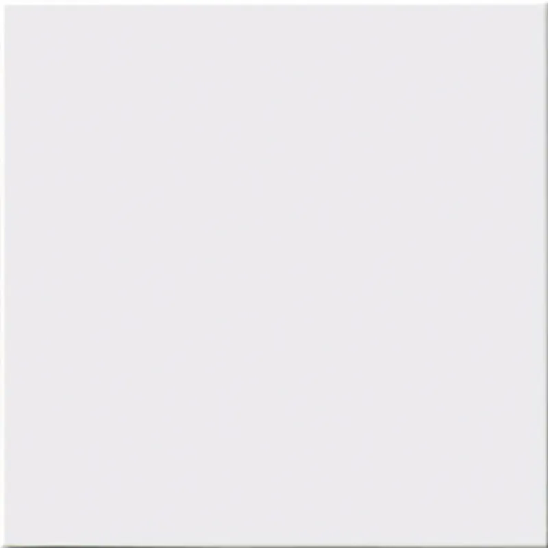 Керамическая плитка Liso Mate Blanco 20x20 / коллекция LISO Absolut Keramika / производитель ABSOLUT KERAMIKA / страна Испания